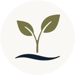 Développement